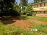 36 cent plot for sale near english church wayanad road
