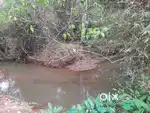 80-Cent Homestay Land for Sale in Vazhavatta, Wayanad