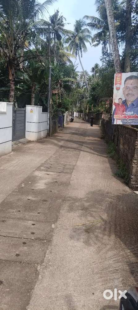 മൊത്തം 10 സെന്റ്, (4356sq ft), urgent sale