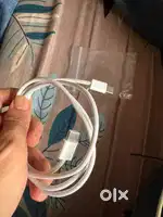Apple type c to c cable