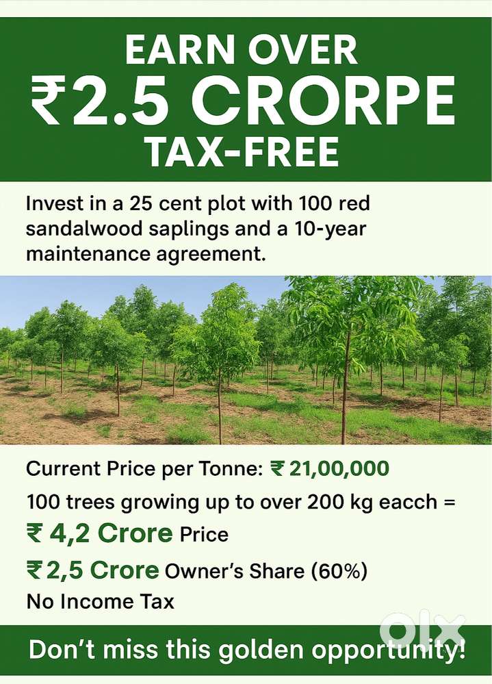 ₹10 Lakh Investment → Earn Over ₹2.5 Crore Tax-Free!