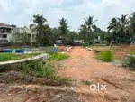 4 / 5 CENT PLOTS THEVAKKAL NEAR VIDYODAYA SCHOOL KAKKANAD