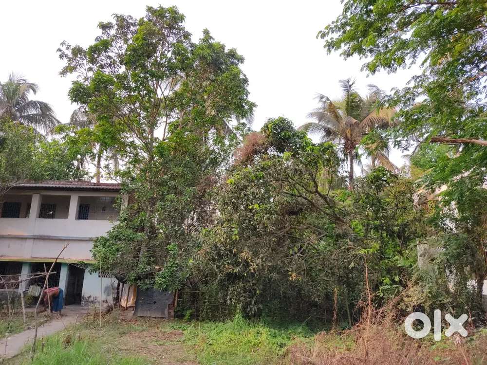 Plot in Ratneswarpur Diamond harbour