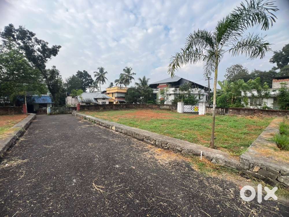 നെടുമ്പാശ്ശേരി അത്താണി 3,6,10cent house plot sale cent 7.50lakh