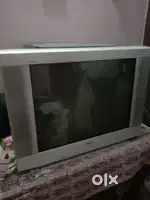 Telivision