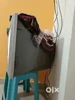 Television