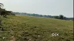 A Stitiban Agriculture Land Available For Lease/Rent