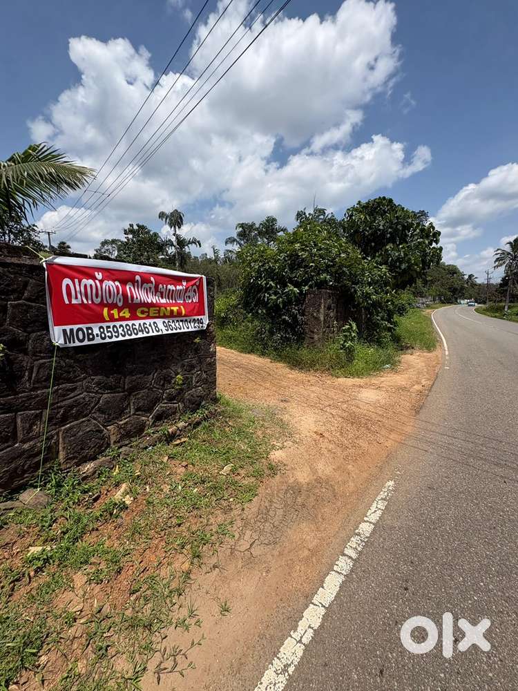 14 Cent land for sale