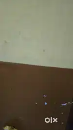 Video Editors