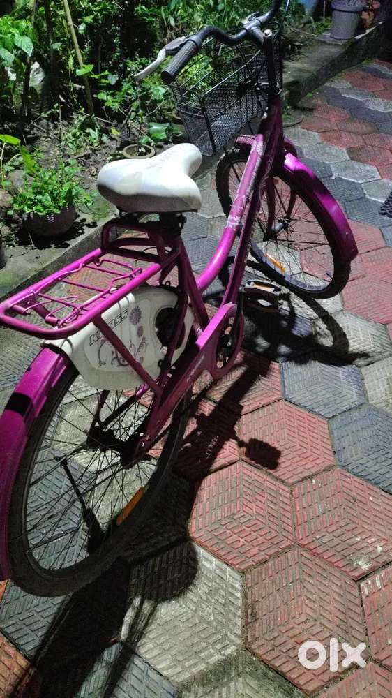 Lady bird with front stand. 3 years old. Good looking