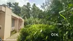 House and plot for sale