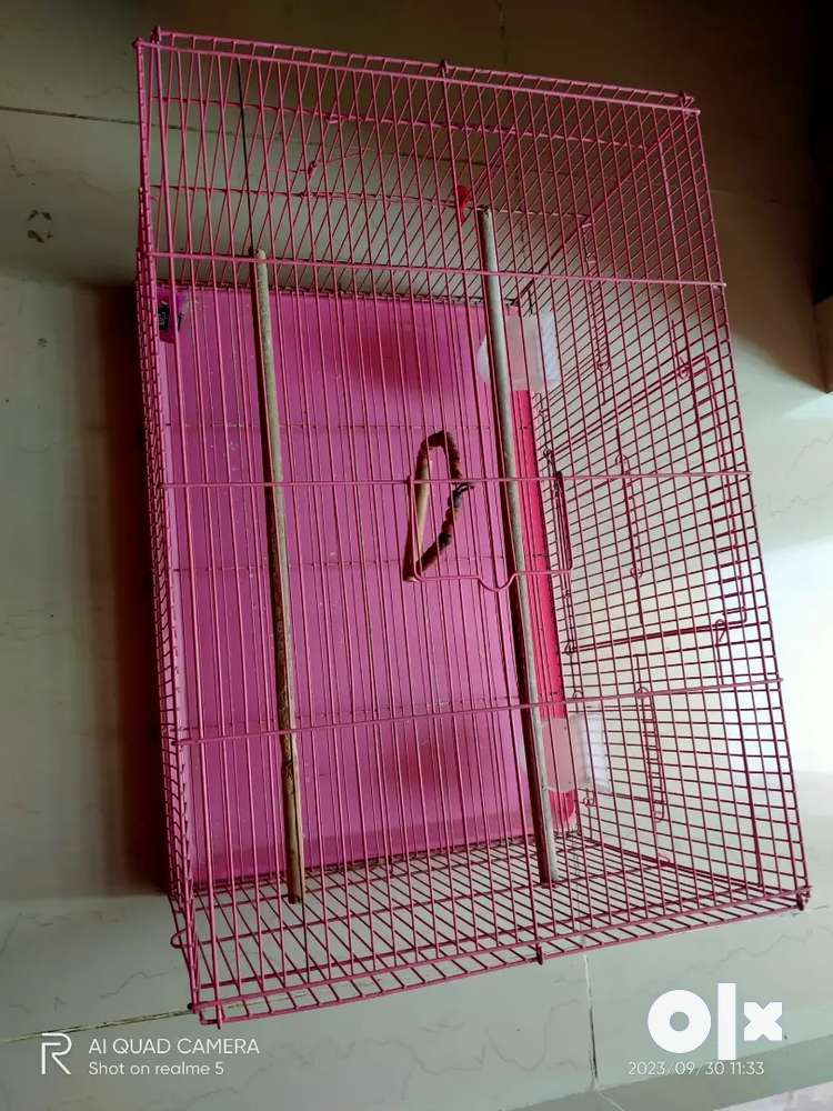 Cage In Good Condition