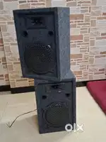 Twin speakers