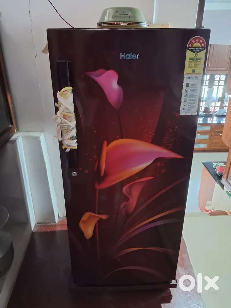 Haier 195 Litres, Direct Cool Inverter Refrigerato