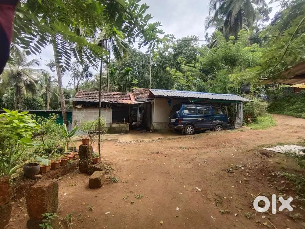 Land for sale പൂടംകല്ല്, രാജപുരം, 45000/സെൻ്റ് (നെഗോഷ്യബിൽ ആണ്)