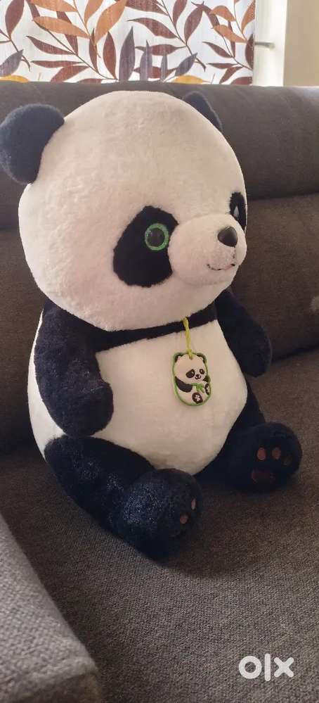 Brand new teddy for sale(Panda)