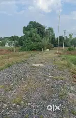 Sikandar kampoo ajaypur mein pilot h  rate 1200 sqft h lene wala msg