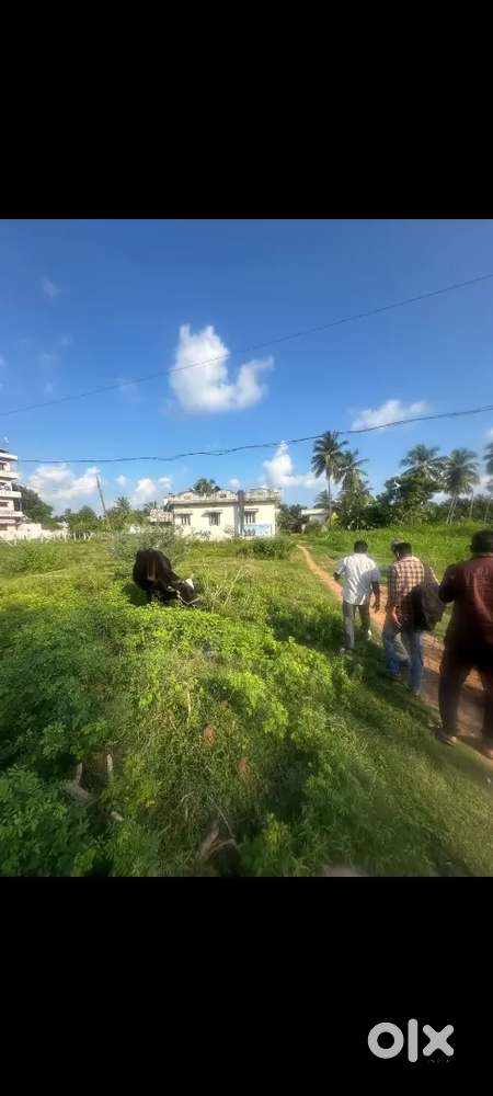 Site for sale 15cents road facing 5km to atchutapuram junction