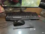 Accountant