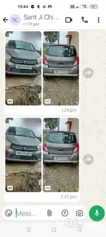 chipura mor
