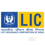 LIC policy