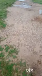 Empty land for sale