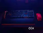 Razer BlackWidow V4 Pro Gaming Keyboard (Yellow Switch)