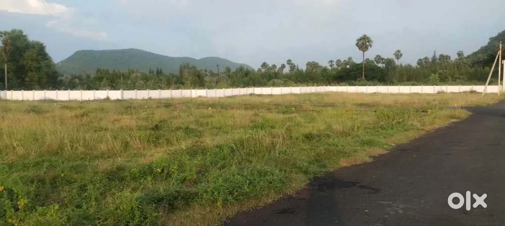 Vizag to Vijayanagaram Highway near facing plots