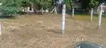 Ad title 
Trichy panjapur bustand near nagamanglam