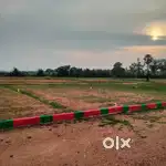 Green grand
