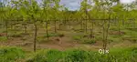 Lands and plots