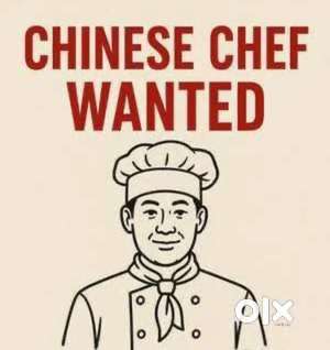 Need chinnis chefs