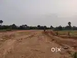 own land area