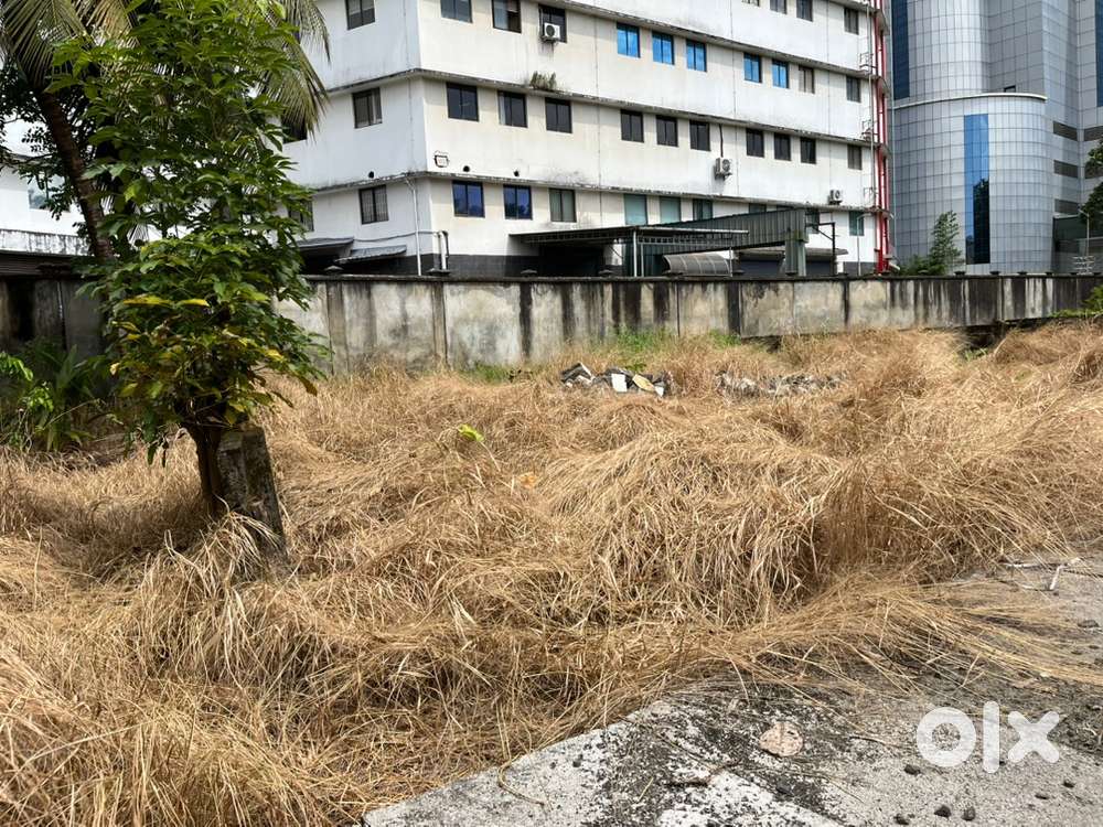 Dd. 7cent House Plot kakkanad infopark for sale