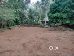 Land for sale in Eliyarackal, Konni