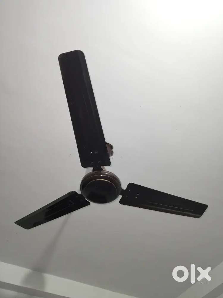 Tufaan and Bajaj ceiling fan
