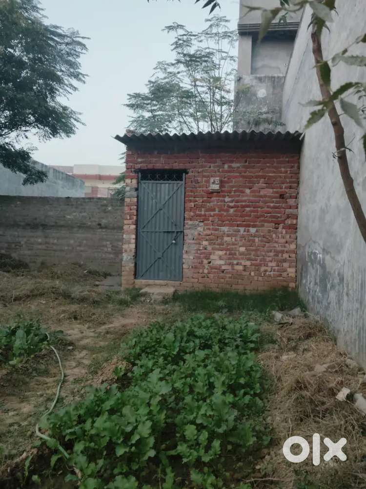 पौध नर्सरी