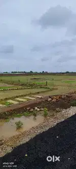 Property shall
