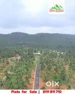 6 Cent House plot for sale at Viyyakurissi,Palakkad