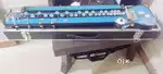 Banjo Bulbul Tarang
