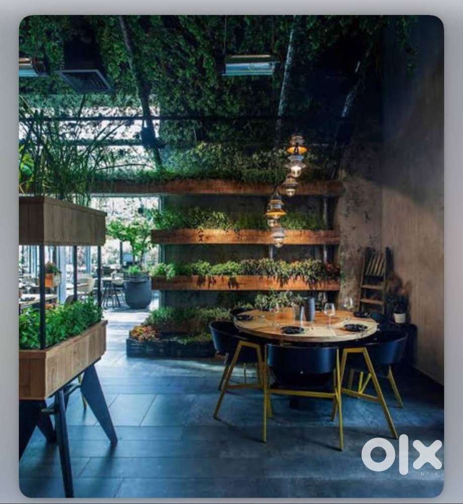 Looking for Chef/ Cook and Kitchen Helper