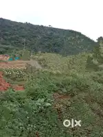 4 cent Only for rent land காளப்பநாயக்கன்பாளையம்