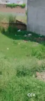 Residential plot