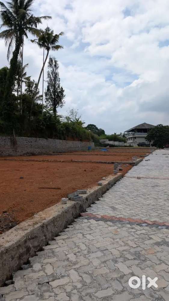 LAND FOR SALE 20 CENT/ 50 CENT /1ACRE @ KALAMASSERY /KANGARAPADI