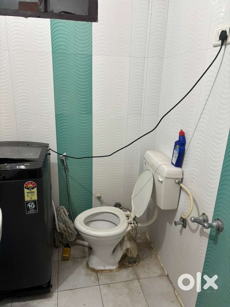 Need  female roommate