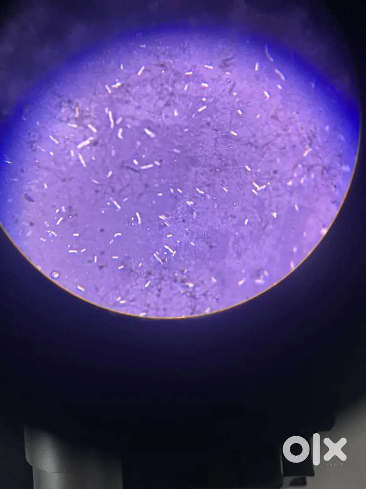 Home tution in asansol for the class i to viii..