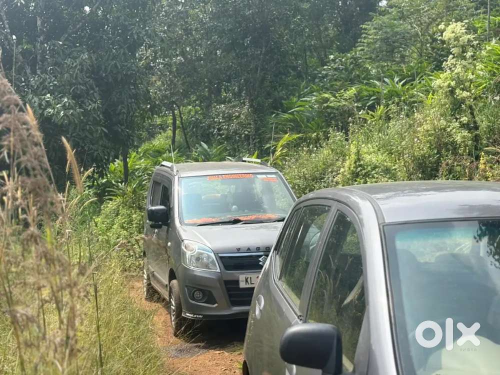 Idukki nedukandam 3Acer cardamom for sale