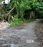 5 cent plot Cherthala പുത്തനമ്പലം മെയിൻ റോഡ് സൈഡ് സ്ഥലം വിൽപ്പനയ്ക്ക്