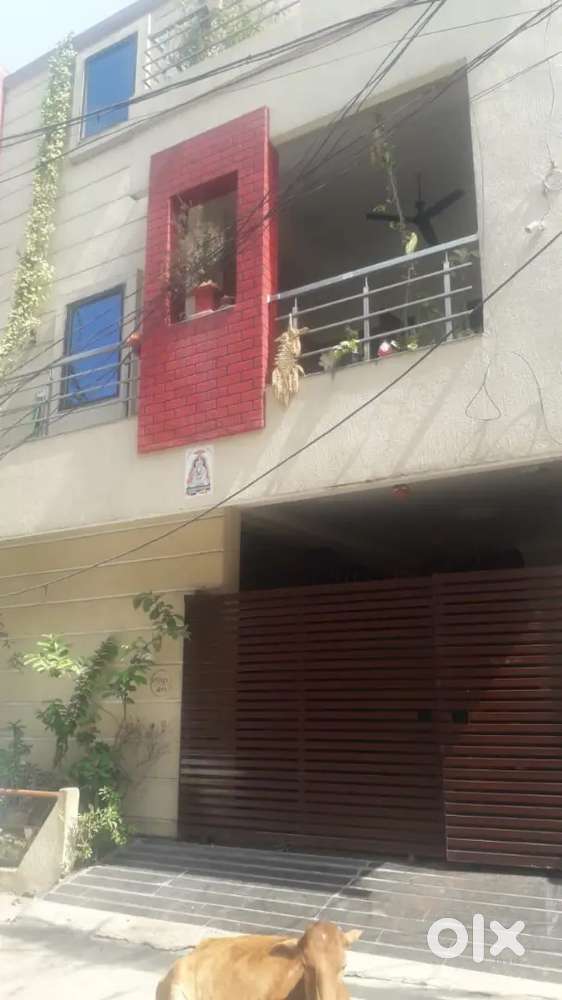Laxmi nagar raipur cg