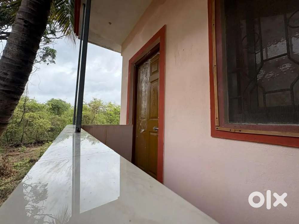 Compact room for a single working professional